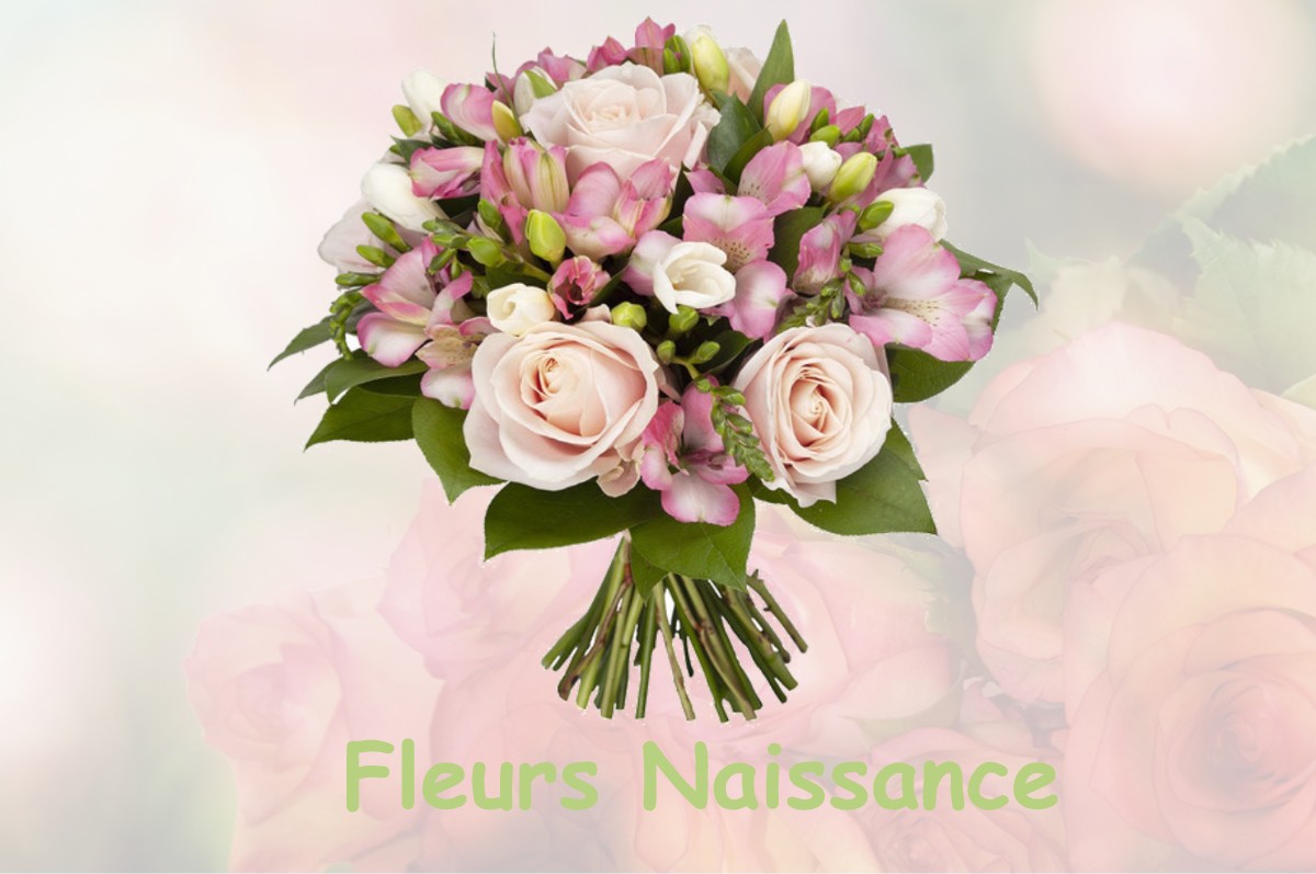 fleurs naissance BEAUZELLE