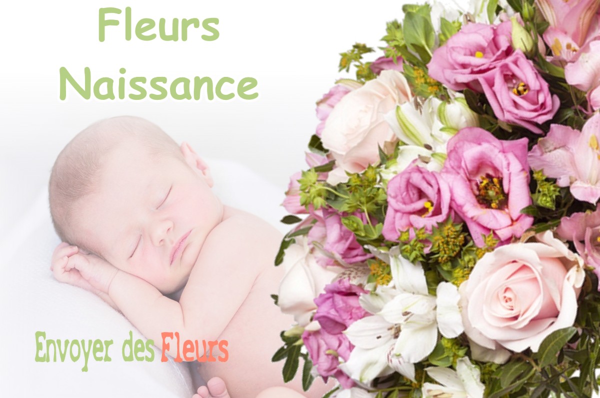 lIVRAISON FLEURS NAISSANCE à BEAUZELLE